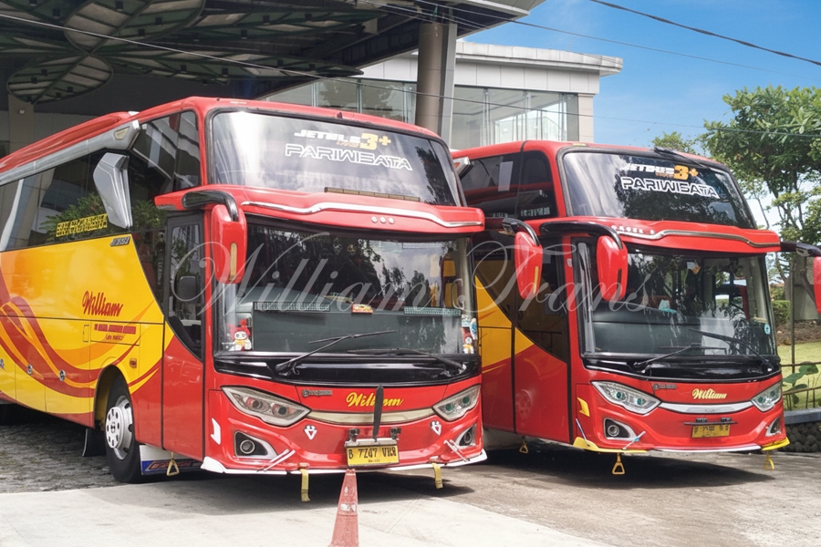 Liburan Sejuk ke Puncak Tanpa Macet Hati: Sewa Big Bus William Trans dari Jakarta